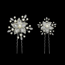 C-2883 (2pcs)