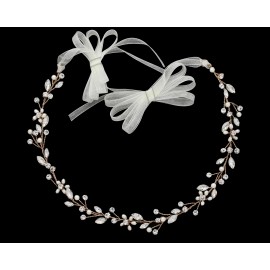 E5-6401 (SV,  LT.GD,R.GD) (R.GD-30% Sale)