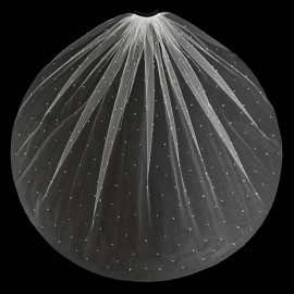 VE-4894-Ivory (36"L x 72"W)